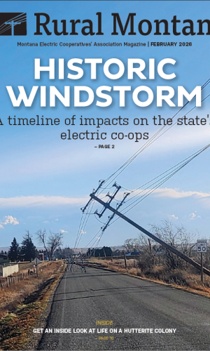 Windstorm Cover photo 2026